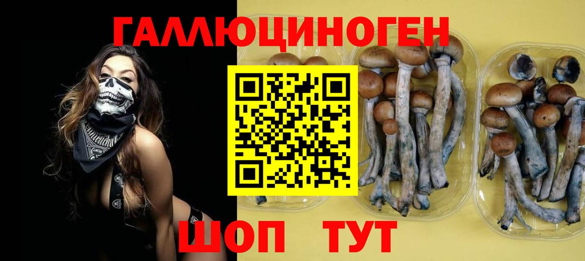 Первоуральск  где купить   Псилоцибиновые грибы ЛСД  Вход с VPN  Галлюциногенные грибы мицелий 