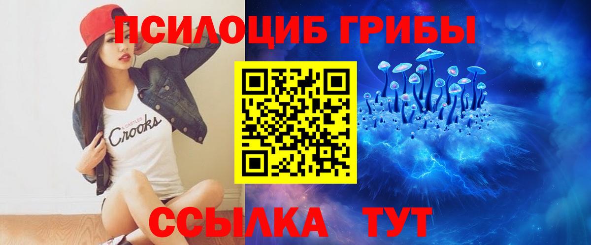 Галлюциногенные грибы Cubensis Первоуральск